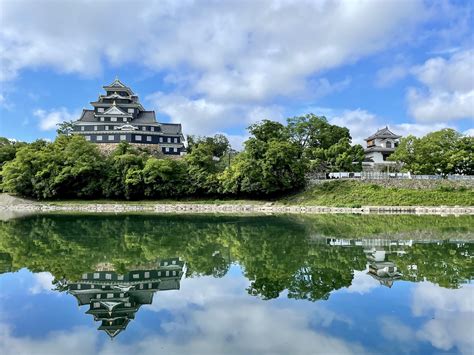 岡山市東区の天気と、なぜかそこに現れる謎の猫の話